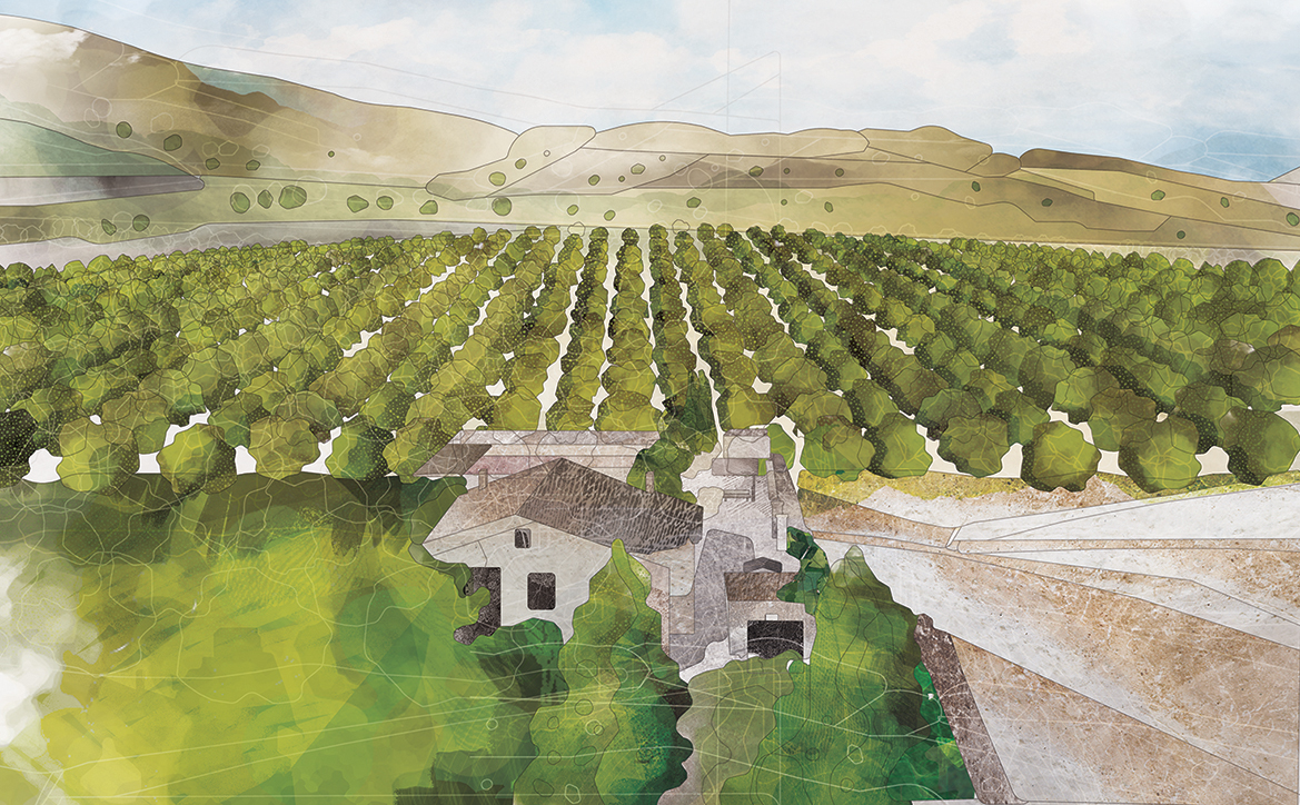 Illustration of the Cortijo El Marqués farmhouse at the edge of the olive grove, with the Sierra Nevada behind